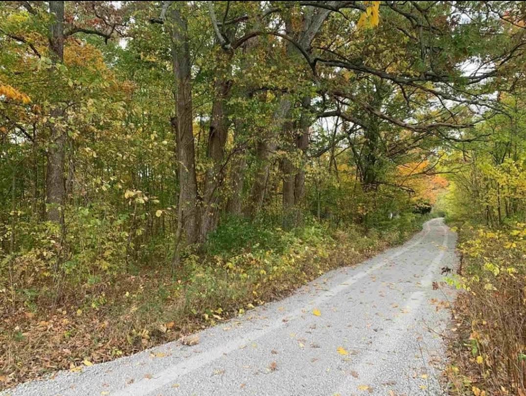 Loon lake forest retreat - Hipcamp in Tri Lakes, Indiana