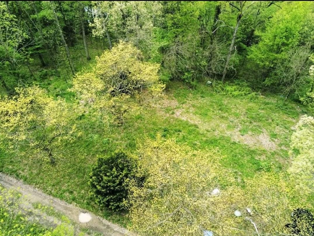 Loon lake forest retreat Hipcamp in Tri Lakes, Indiana