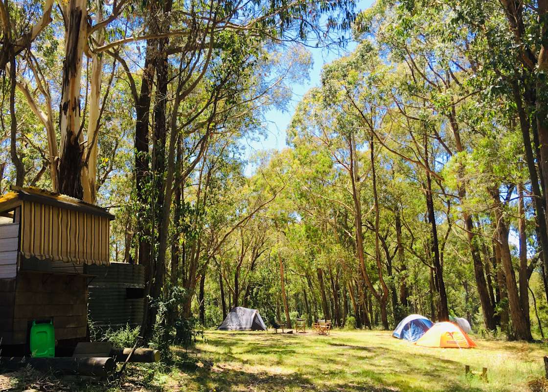 The Sticks 985 Hipcamp in Boonah, Victoria