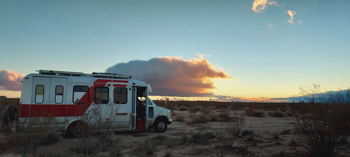 Desert hares and Joshua trees - Hipcamp in Mojave, California