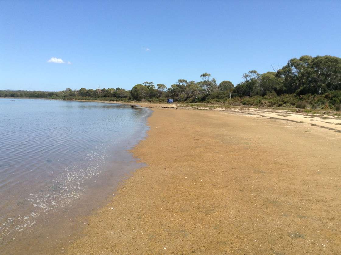 Paradise Lagoon - Hipcamp in Coles Bay, Tasmania