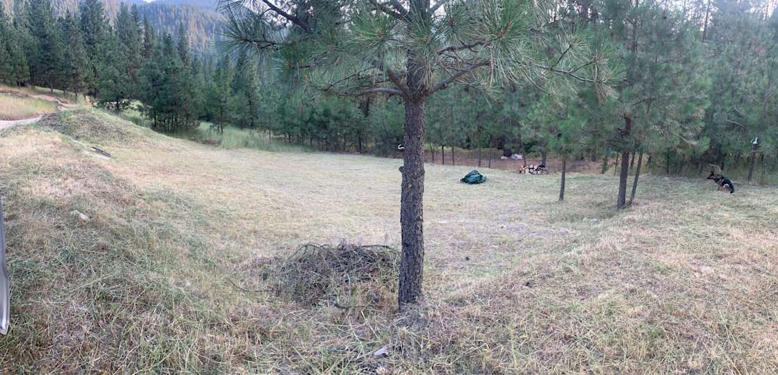 Rex S.’s Land Hipcamp in Crouch, Idaho