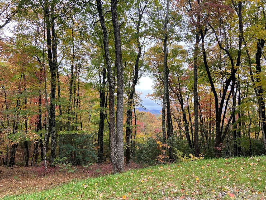 Indian Creek Rental's Mountain Camp Hipcamp in Rosman, North Carolina