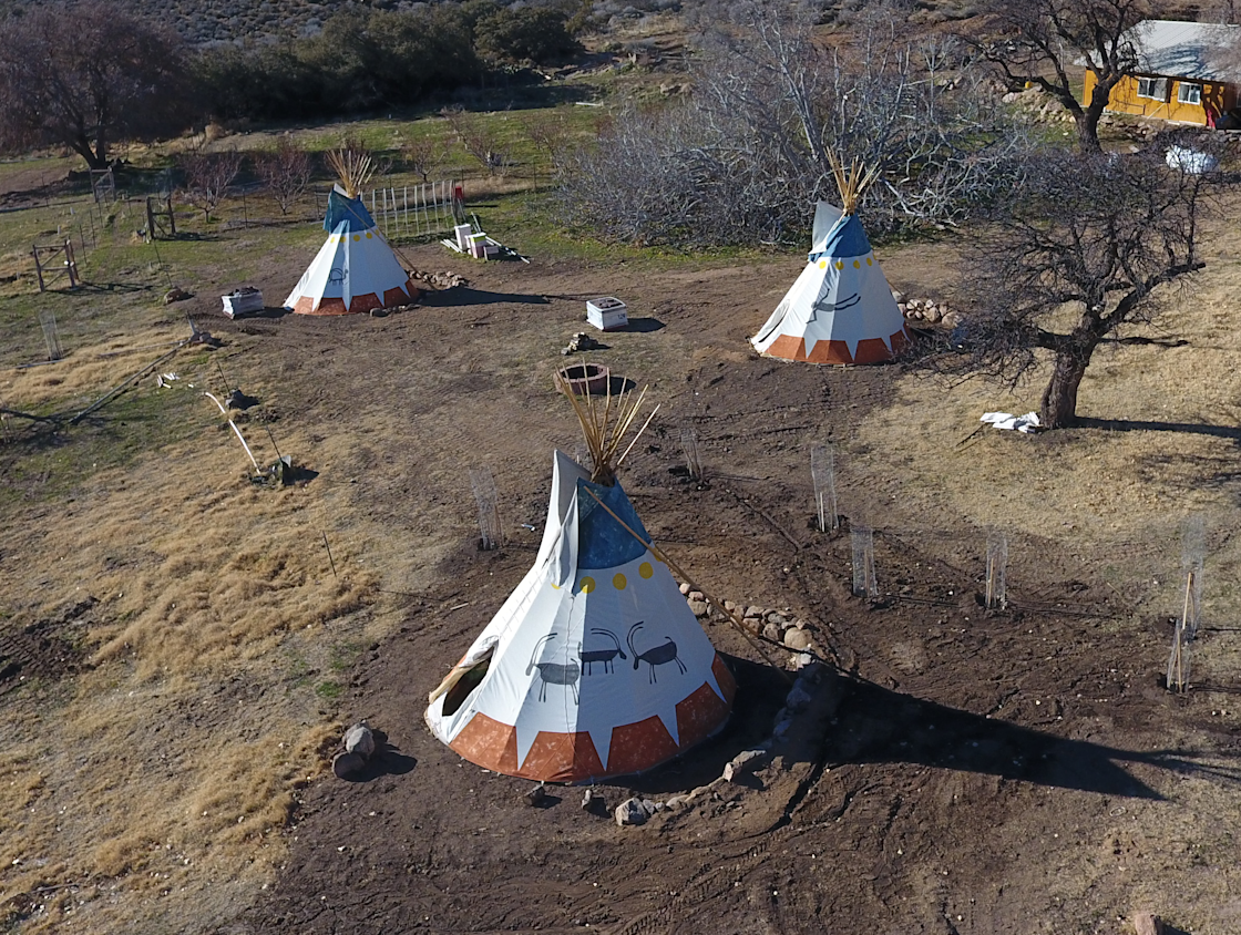 Aravada Springs Desert Oasis Hipcamp in Bunkerville, Nevada