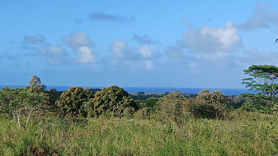 Dukes Hideout! Hipcamp in Nanawale Estates, Hawaii