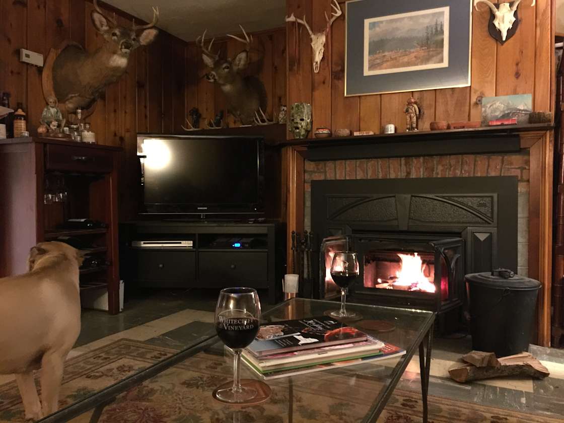 Bluebird Cabin Hipcamp in Walker Valley, New York