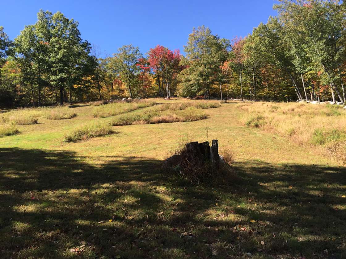 Bluebird Cabin Hipcamp in Walker Valley, New York