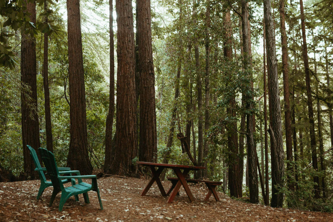 The Enchanted Forest Retreat Hipcamp in Los Gatos California