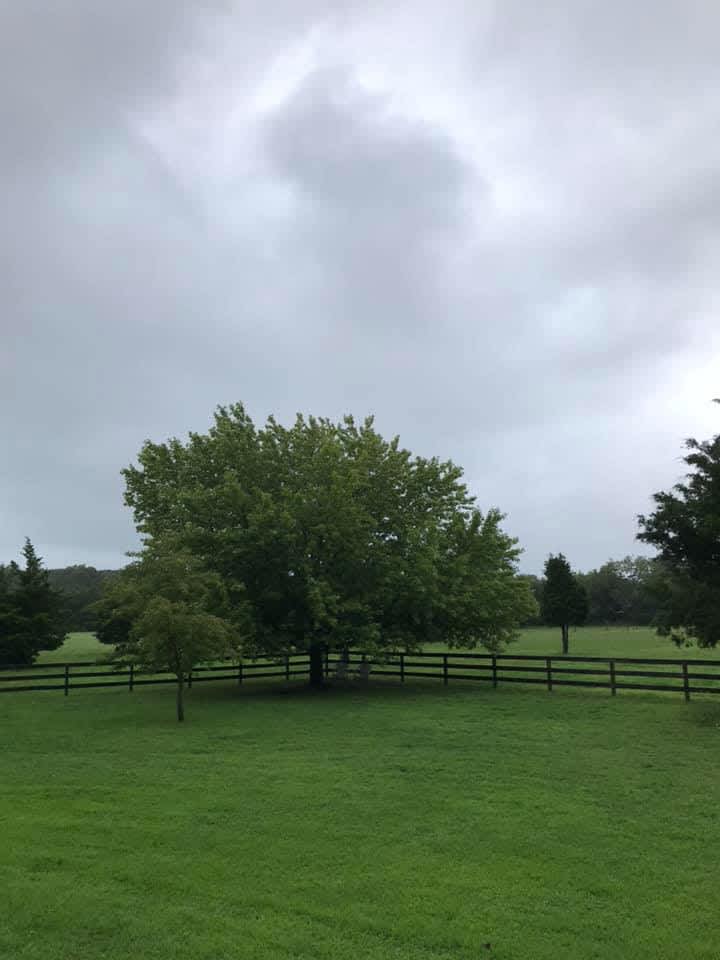 Juno Acres Hipcamp in Woodbine, New Jersey