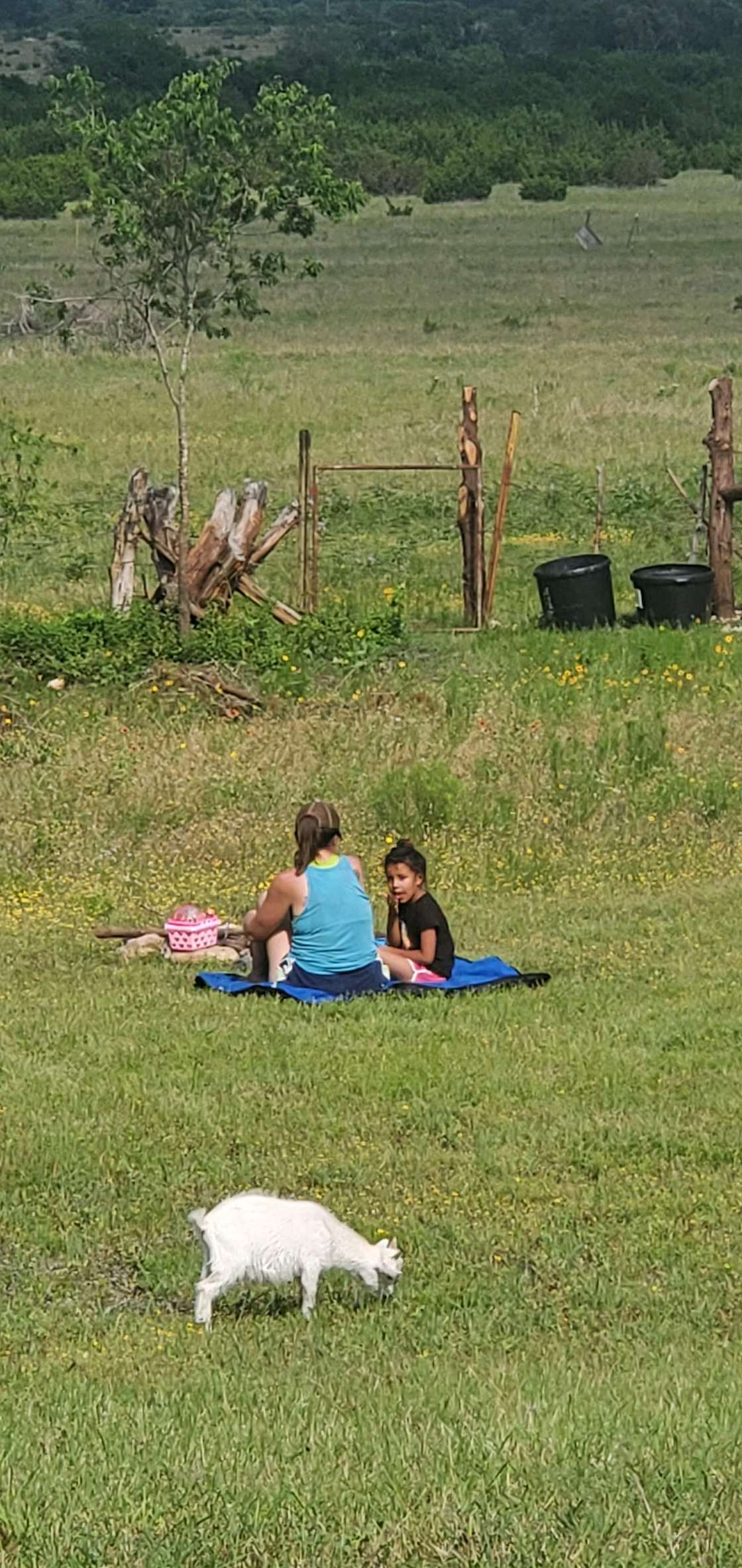 Fossil Bed Camp Hipcamp in Gatesville, Texas