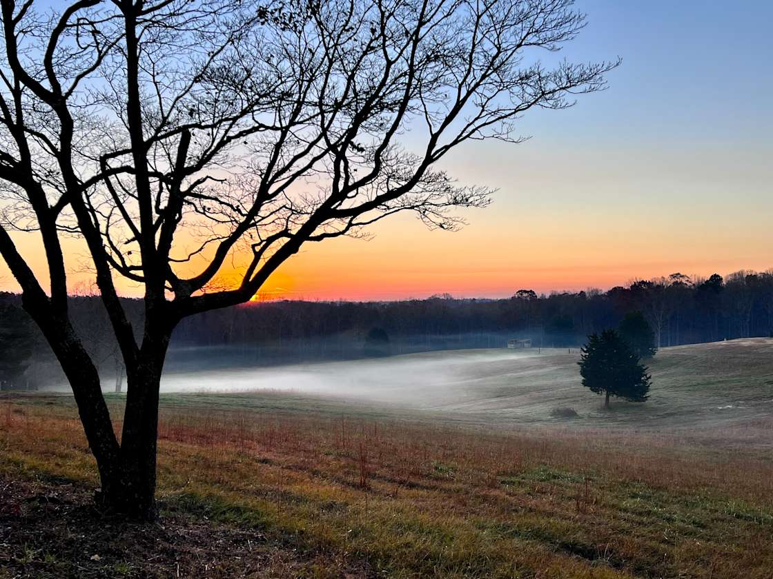 Shotsville Hipcamp in Vina, Alabama