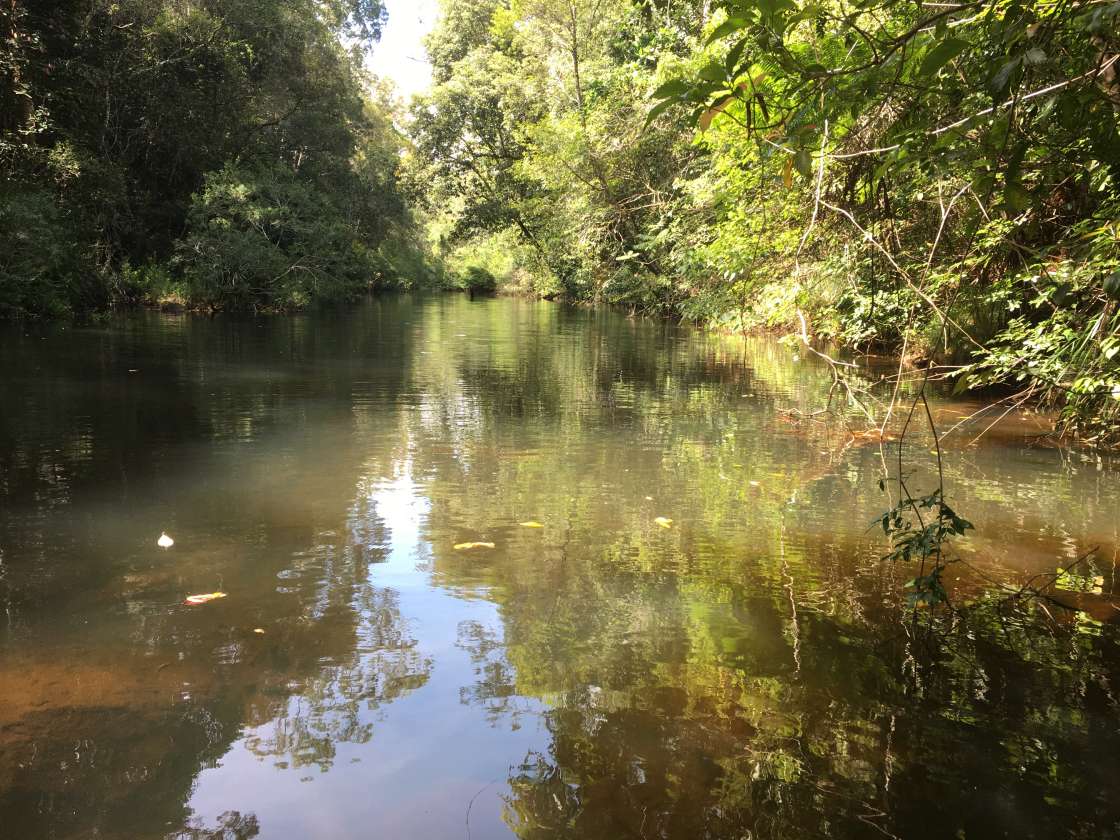 Vine Creek Retreat - Hipcamp in Ravenshoe, Queensland