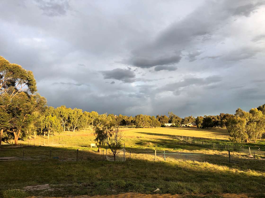 Alicia R.’s Land Hipcamp in Lower Chittering Valley, Western Australia
