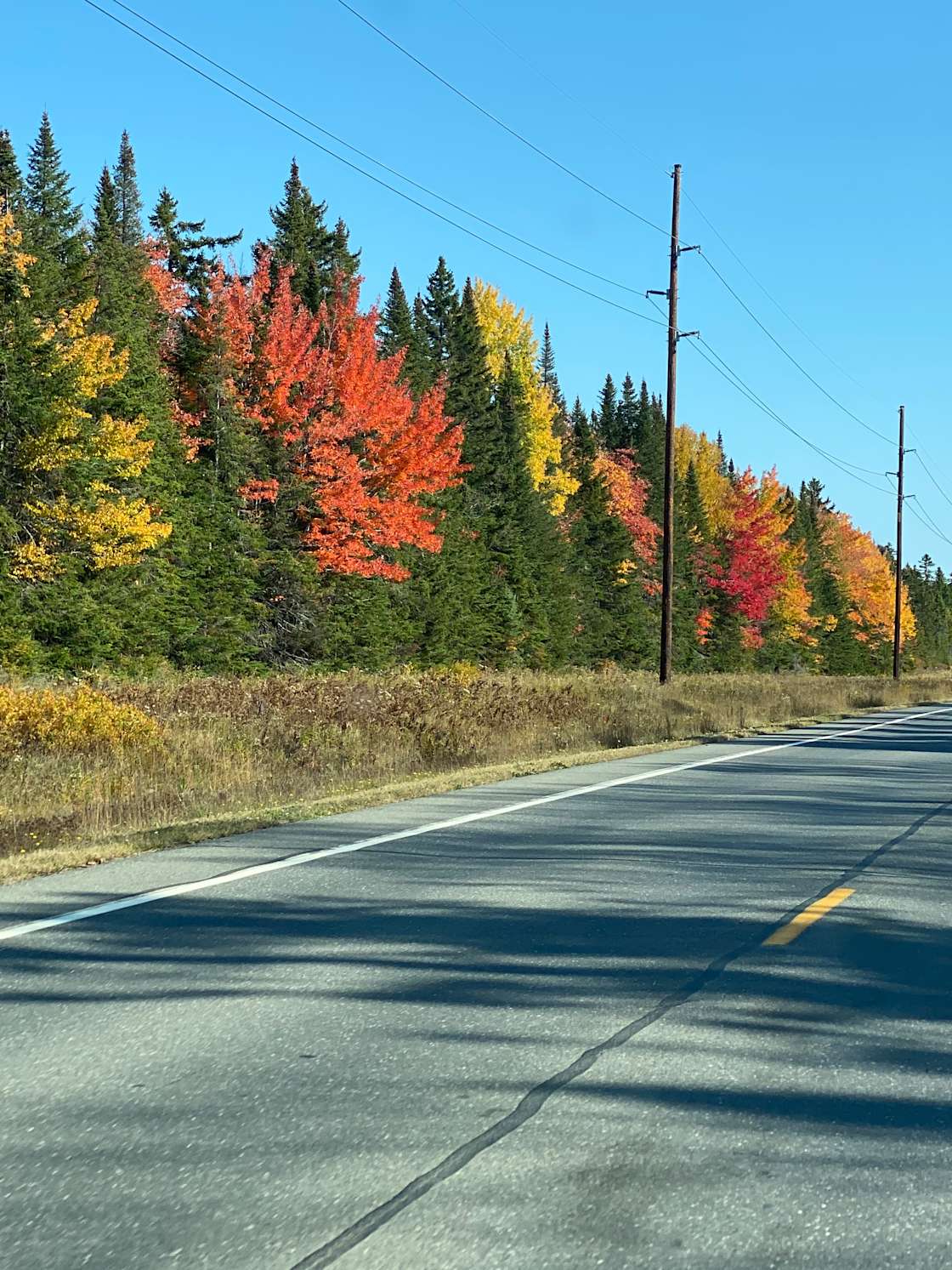 Jason D.’s Land Hipcamp in Washburn, Maine