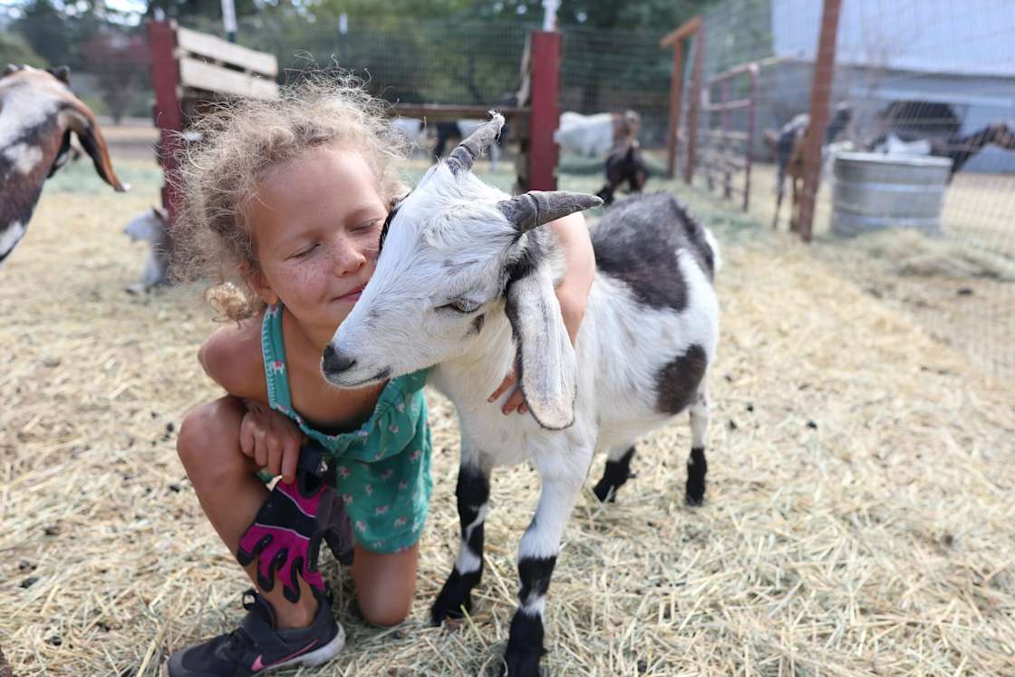 Sunset Farms Sanctuary Hipcamp in Cove, Arkansas