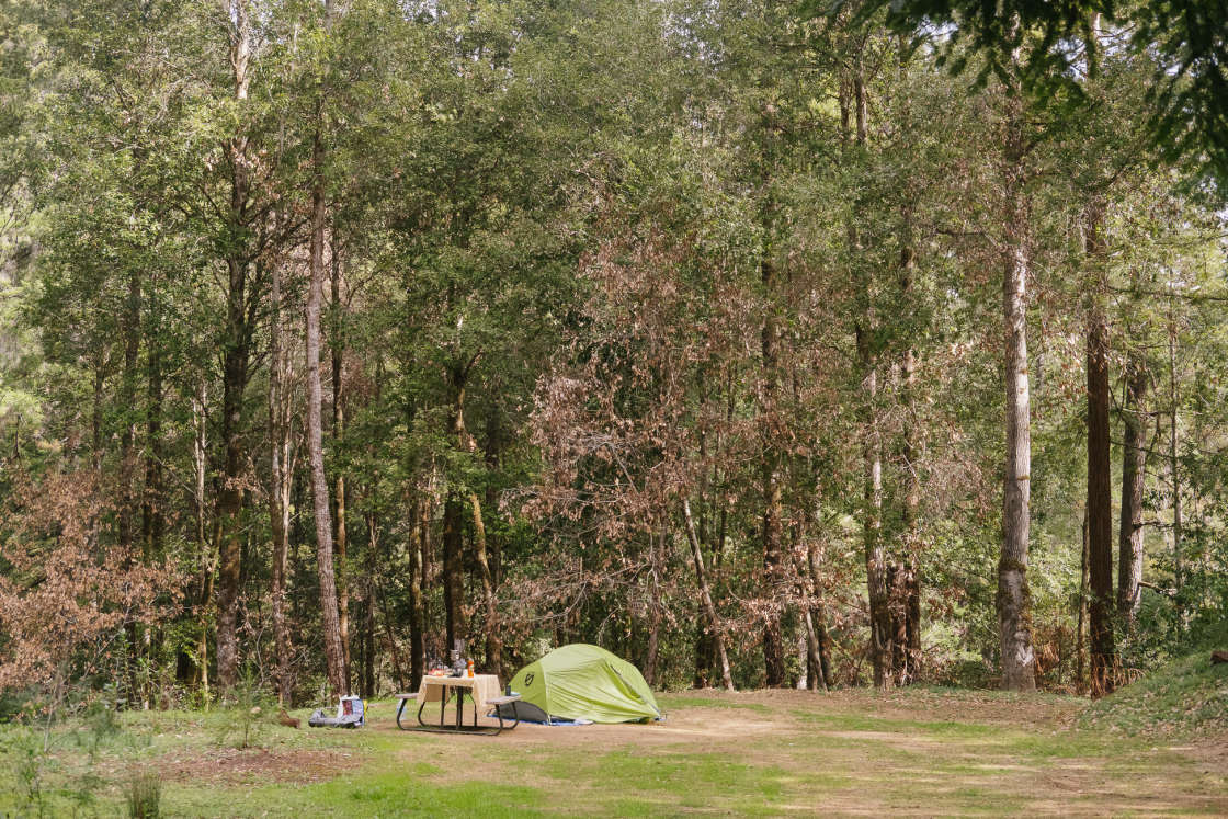 BANKS RANCH IN THE REDWOODS Hipcamp in Santa Cruz California