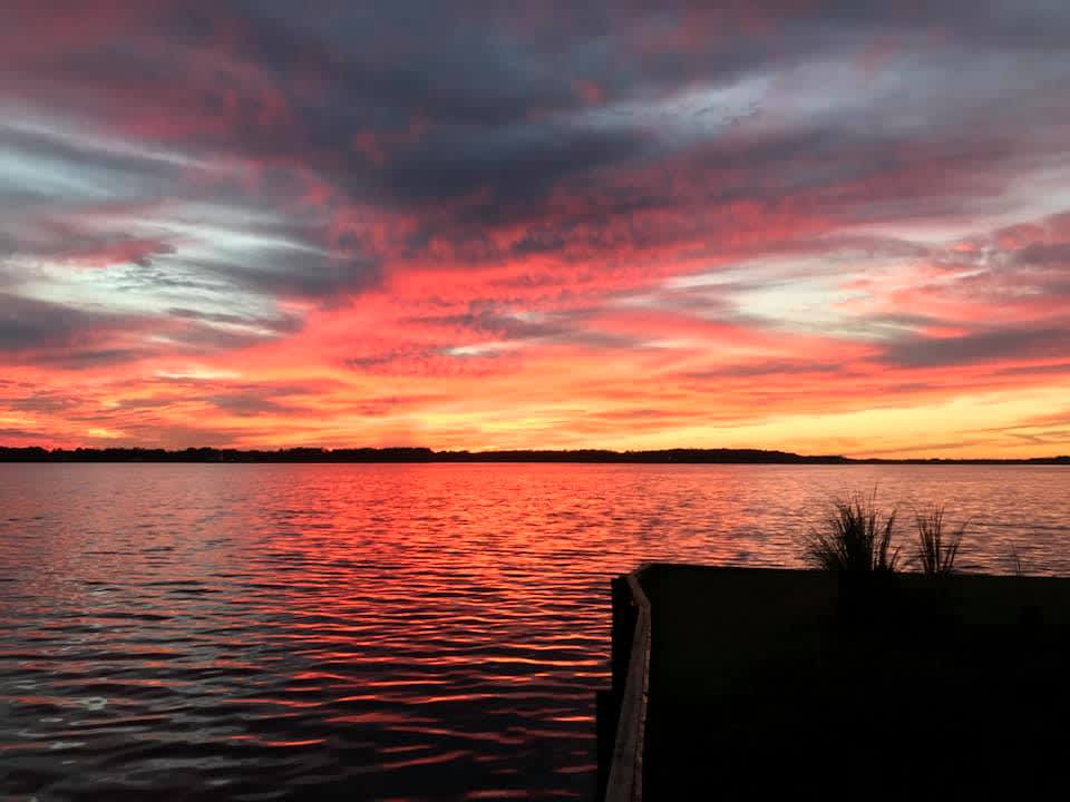 Sunset Cove on the Neuse River - Hipcamp in Bridgeton, North Carolina