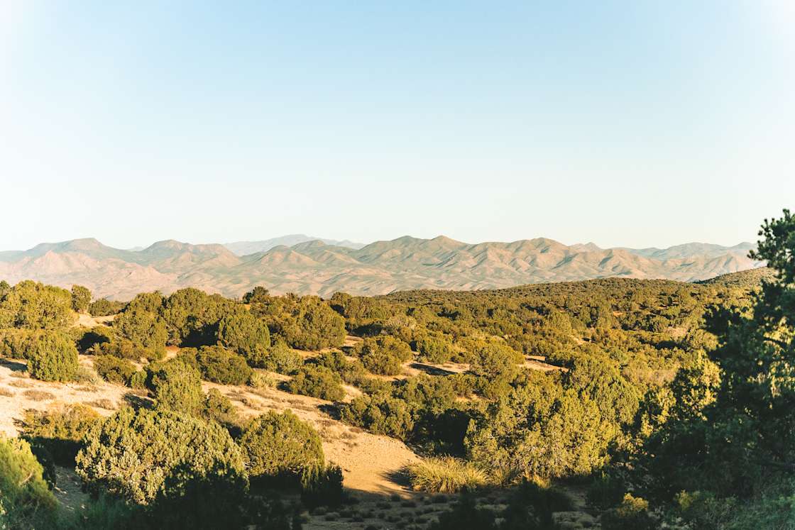 Peaceful primitive camping Hipcamp in Pine Lake, Arizona