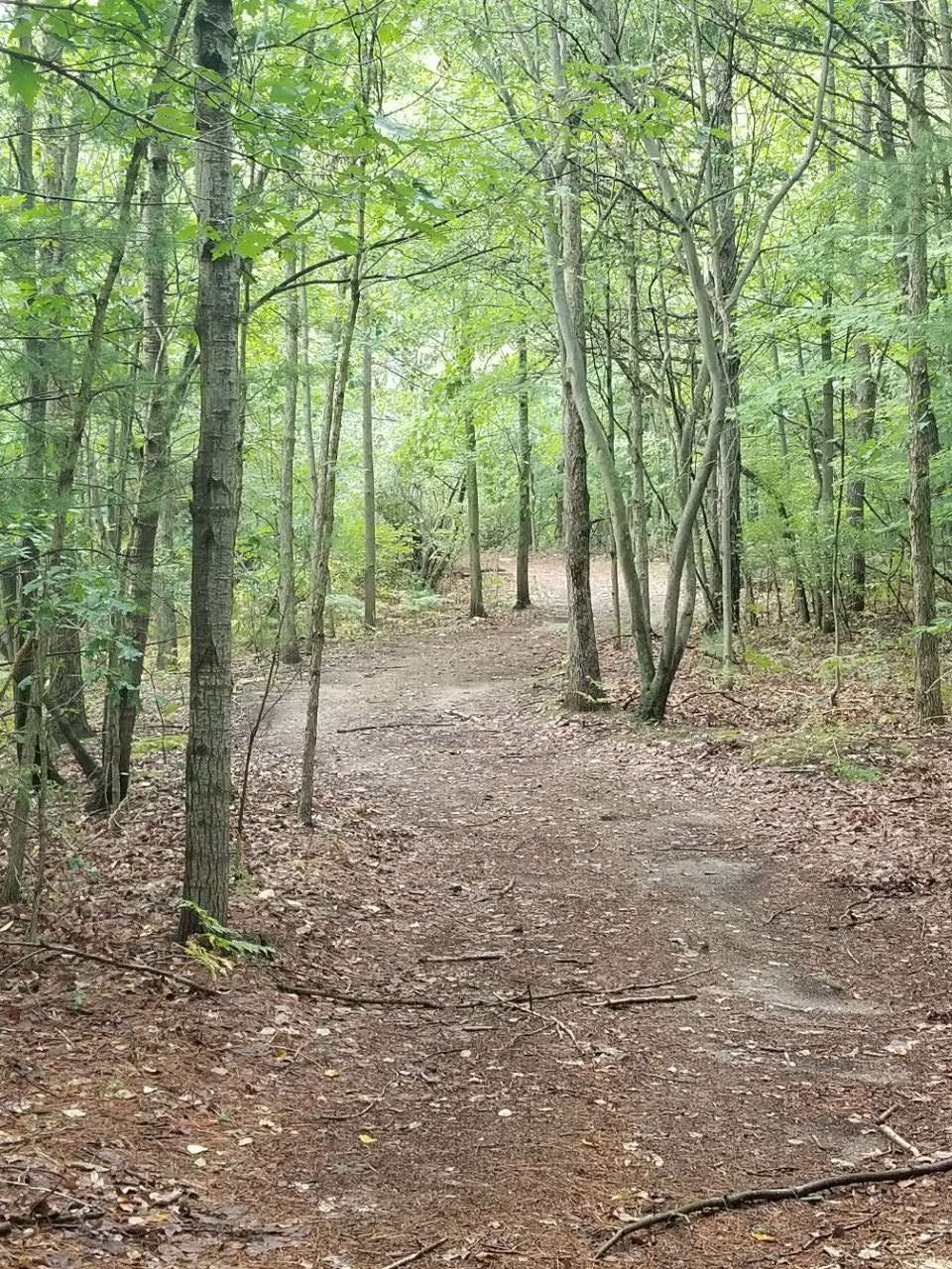 B Mo's Hideout Hipcamp in Columbiaville, Michigan