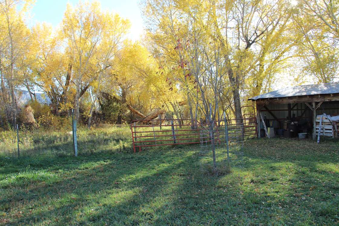 Mancos River Hideaway Hipcamp in Mancos, Colorado