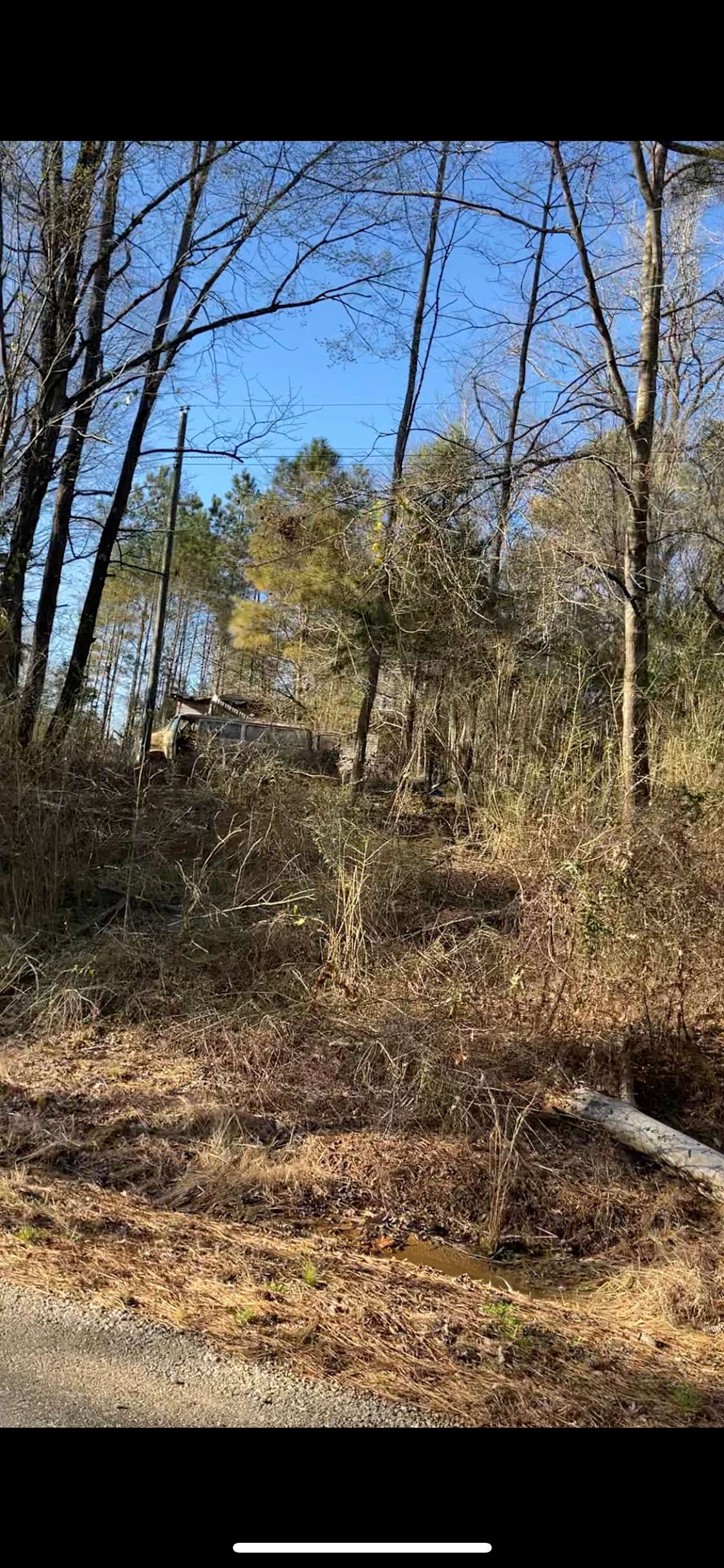 Joshua H.’s Land Hipcamp in Mathiston, Mississippi