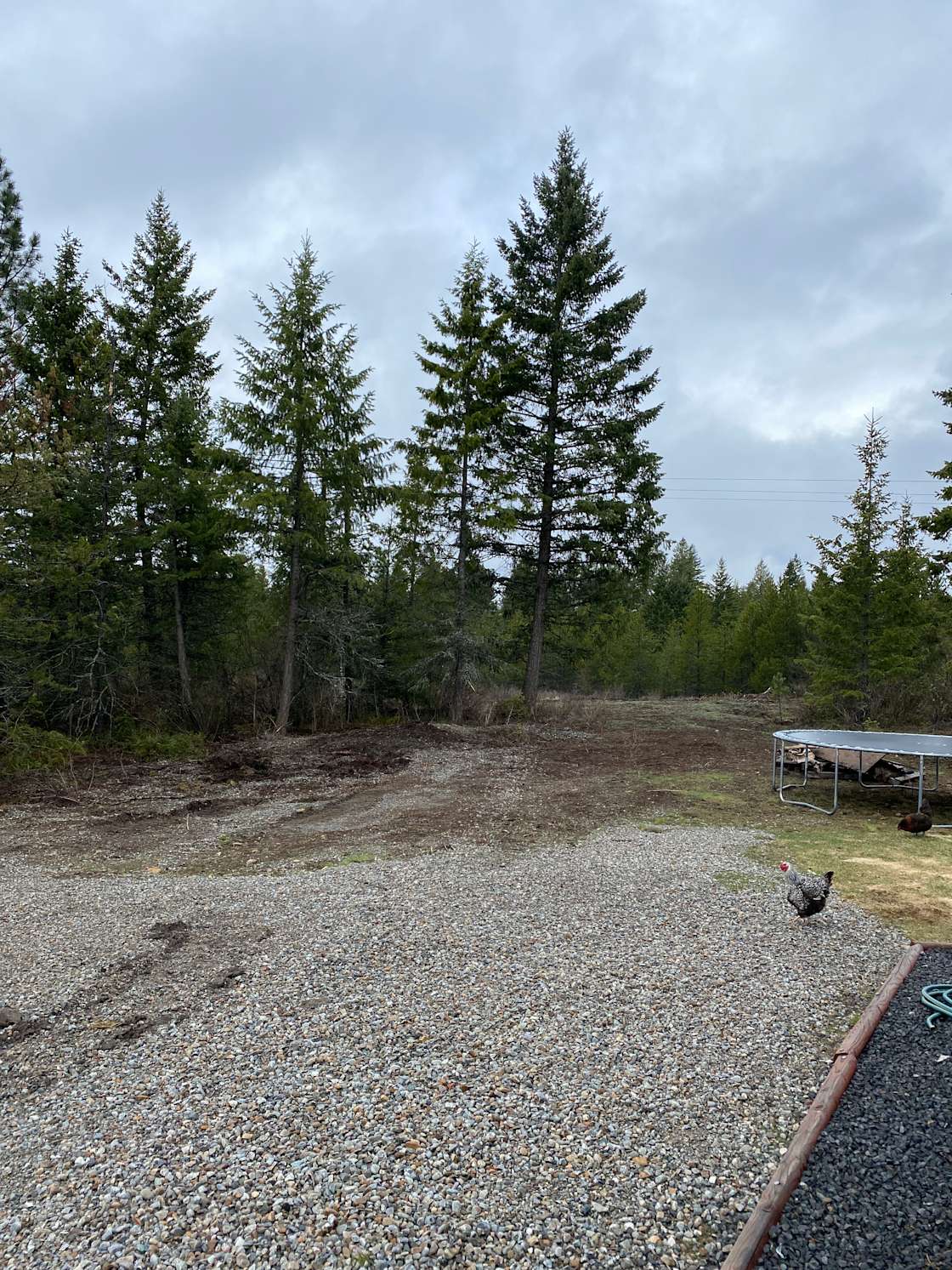 Rebecca R.’s Land Hipcamp in Spirit Lake, Idaho