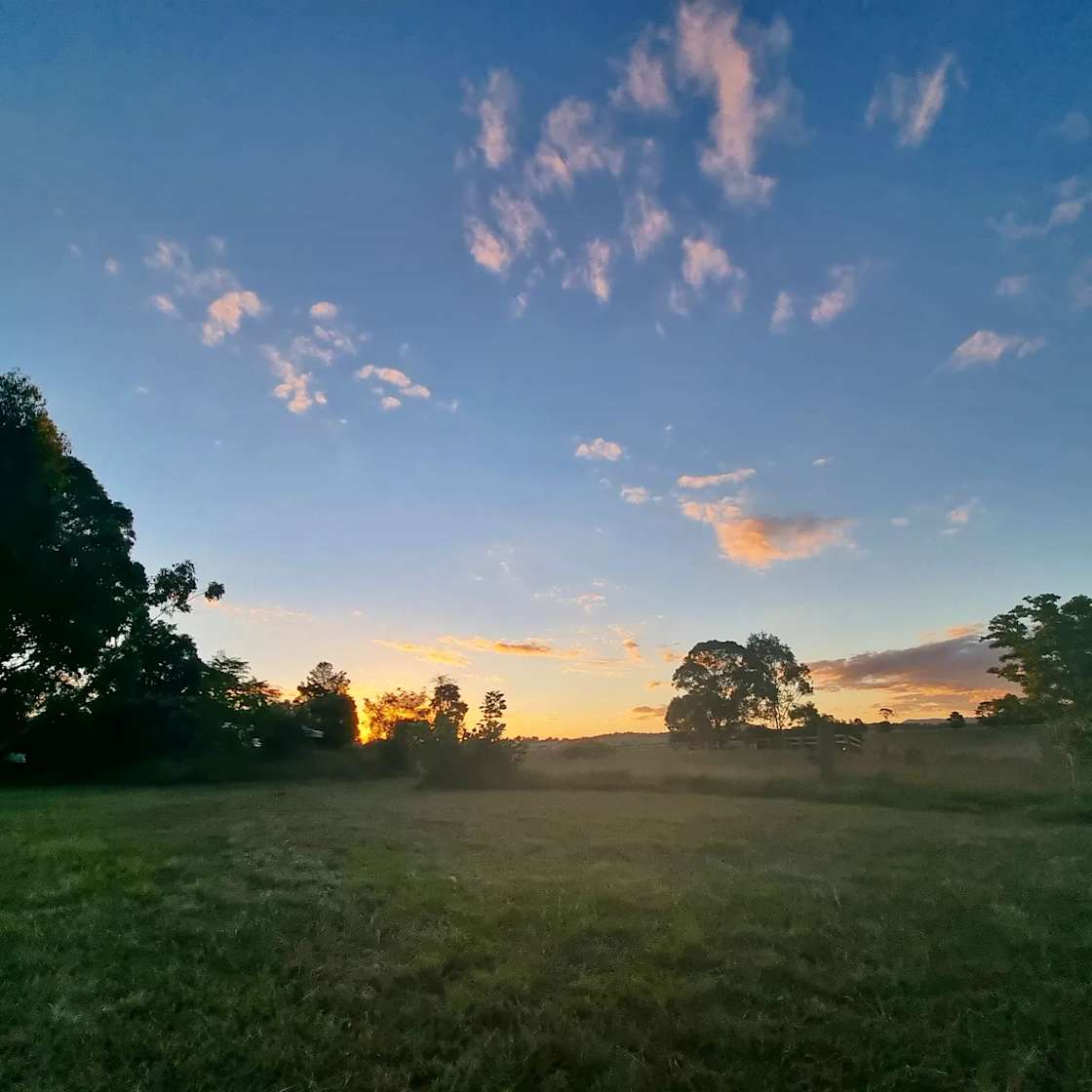 Purple Pear Farm Camping & RV's Hipcamp in Anambah, New South Wales