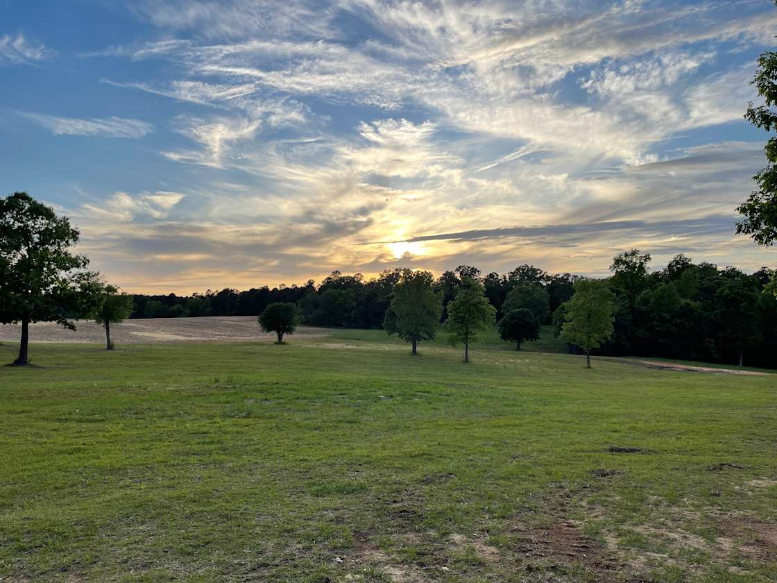 Lakeside Retreat Hipcamp in Elloree, South Carolina