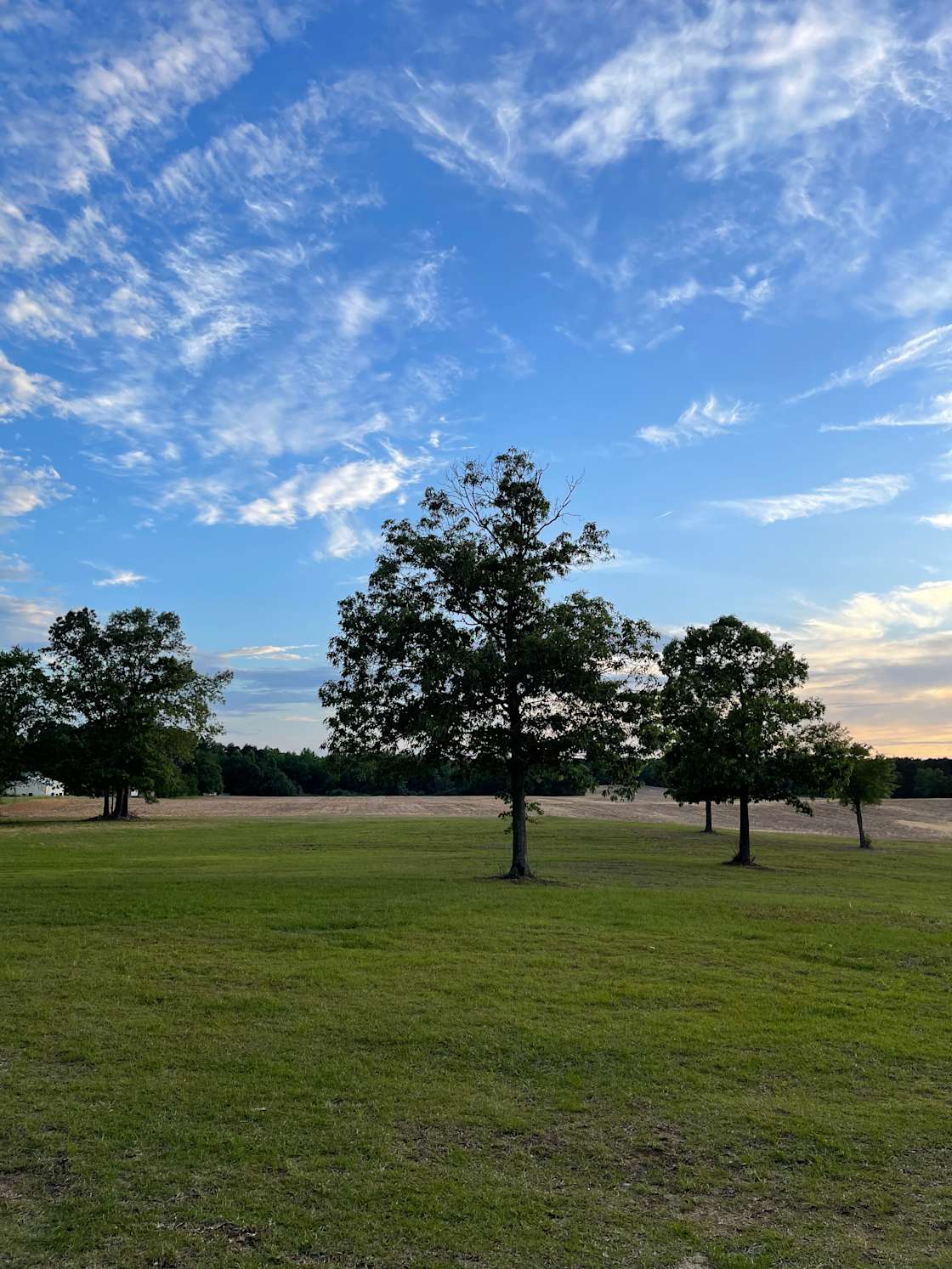 Lakeside Retreat Hipcamp in Elloree, South Carolina