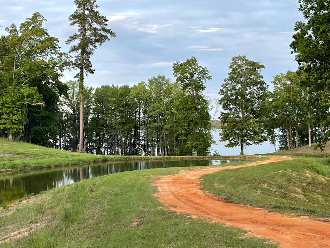 Lakeside Retreat Hipcamp in Elloree, South Carolina
