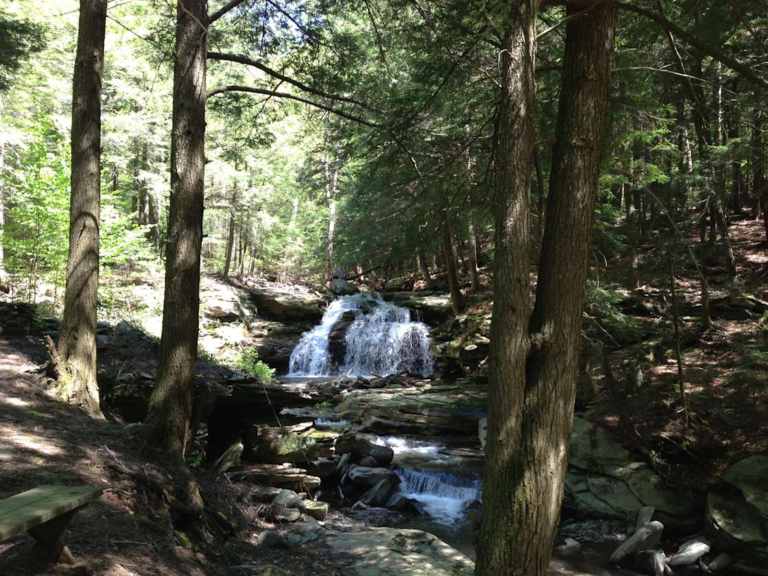 Timberland Falls Hipcamp in East Jewett, New York
