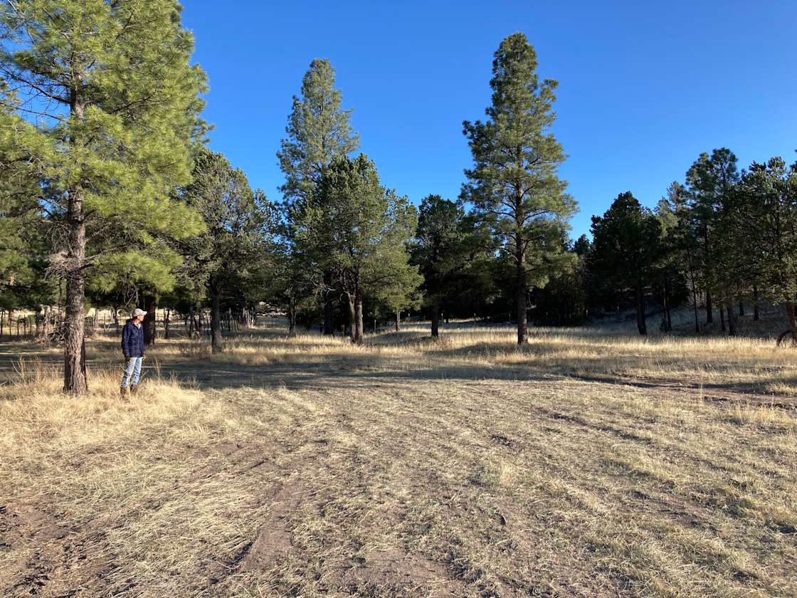 Ghost Owl Ranch - Hipcamp In Nutrioso, Arizona