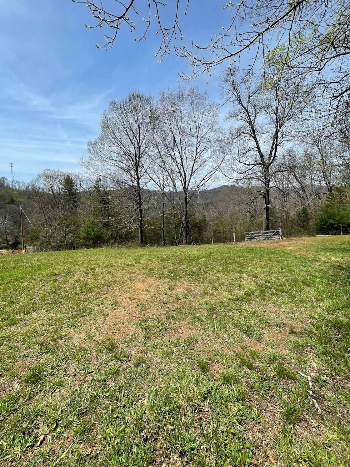 Holbrook Holler Hipcamp in Mars Hill, North Carolina