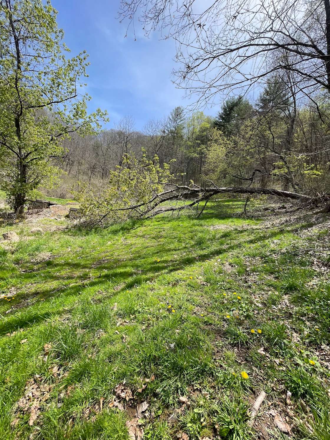 Holbrook Holler Hipcamp in Mars Hill, North Carolina