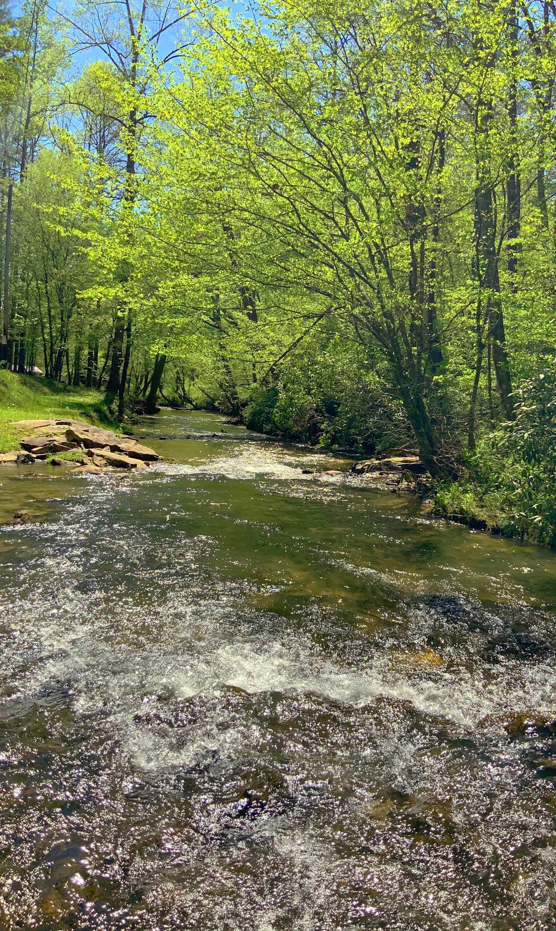 Creekside Glamping Escape - Hipcamp in Ellijay, Georgia