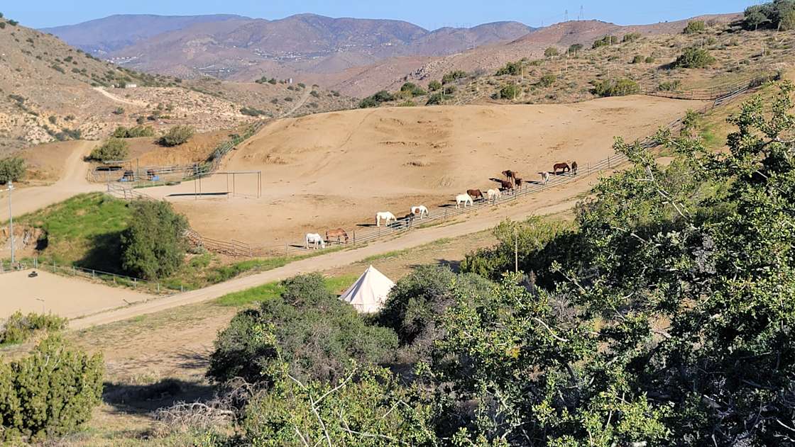 Glamp Acres Sappho Ranch Acton Ca Hipcamp in Acton, California