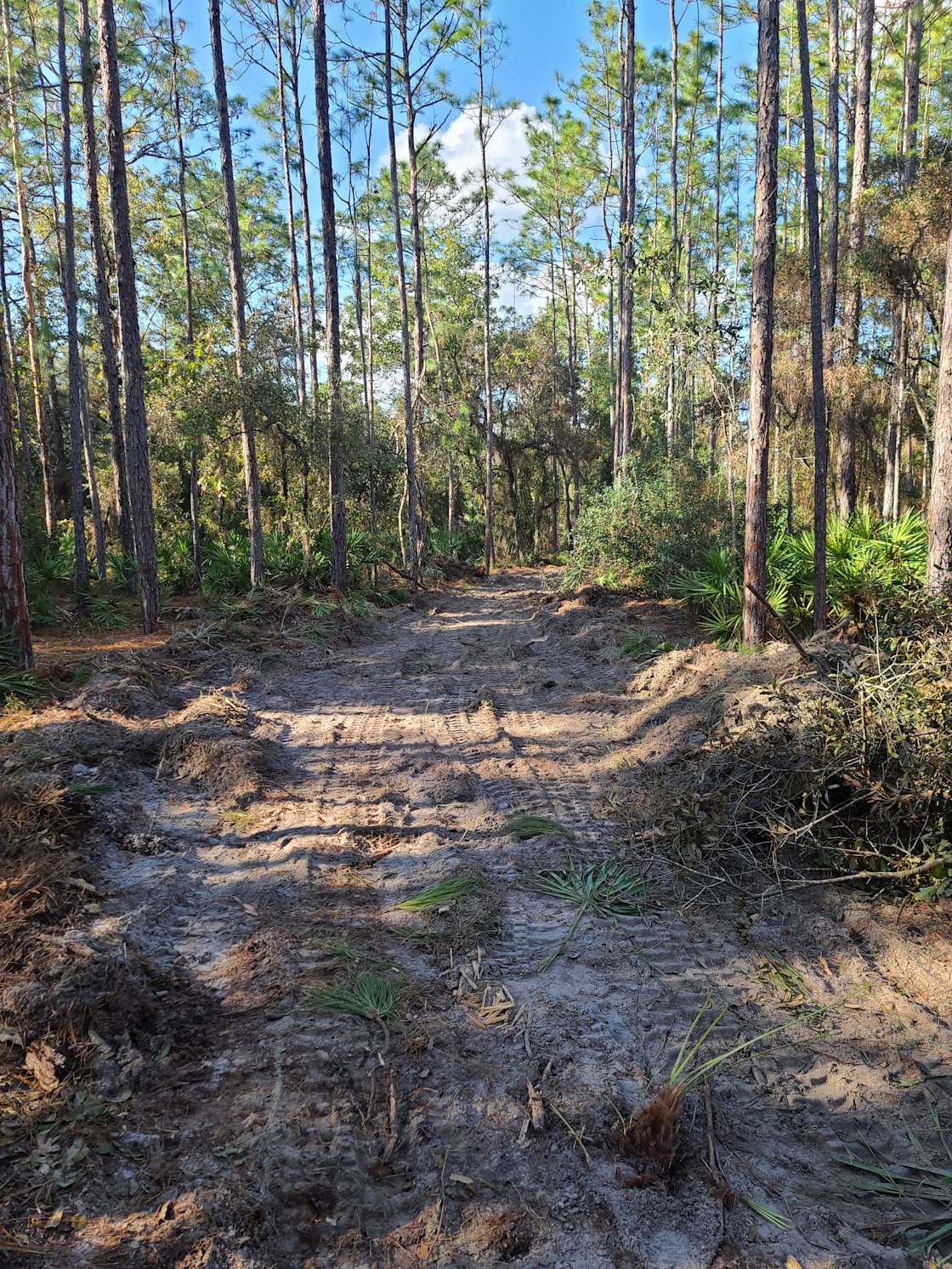 Quiet Pines Acres Hipcamp in Homosassa, Florida