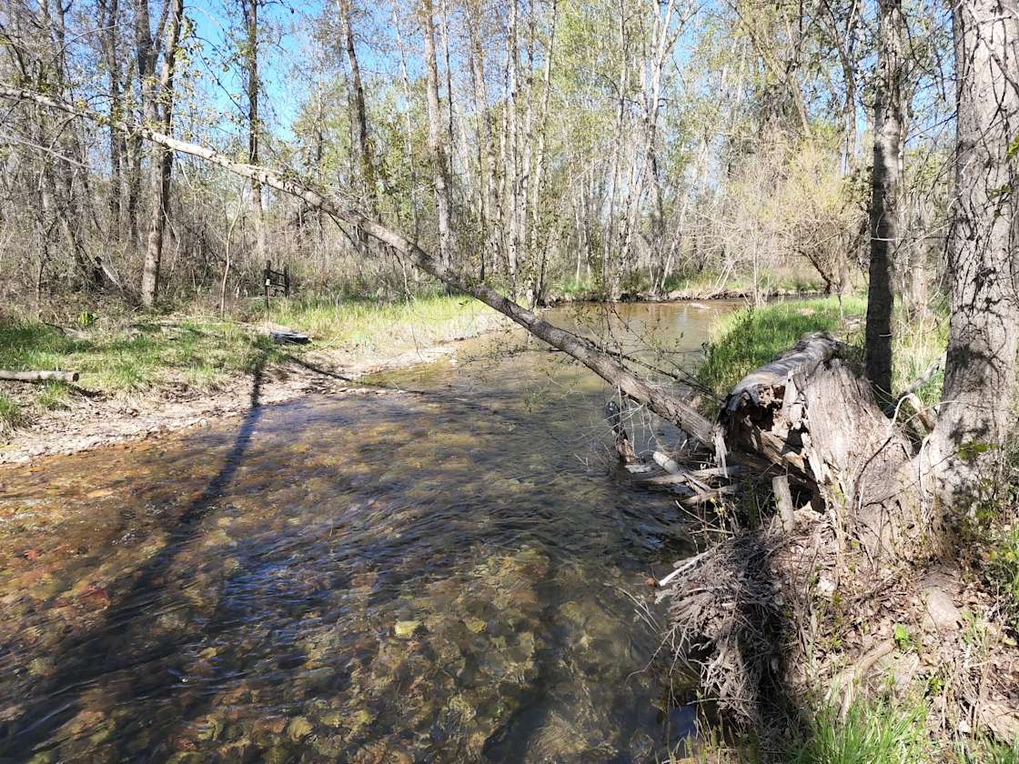 Mission Creek Camp Hipcamp in St Ignatius, Montana