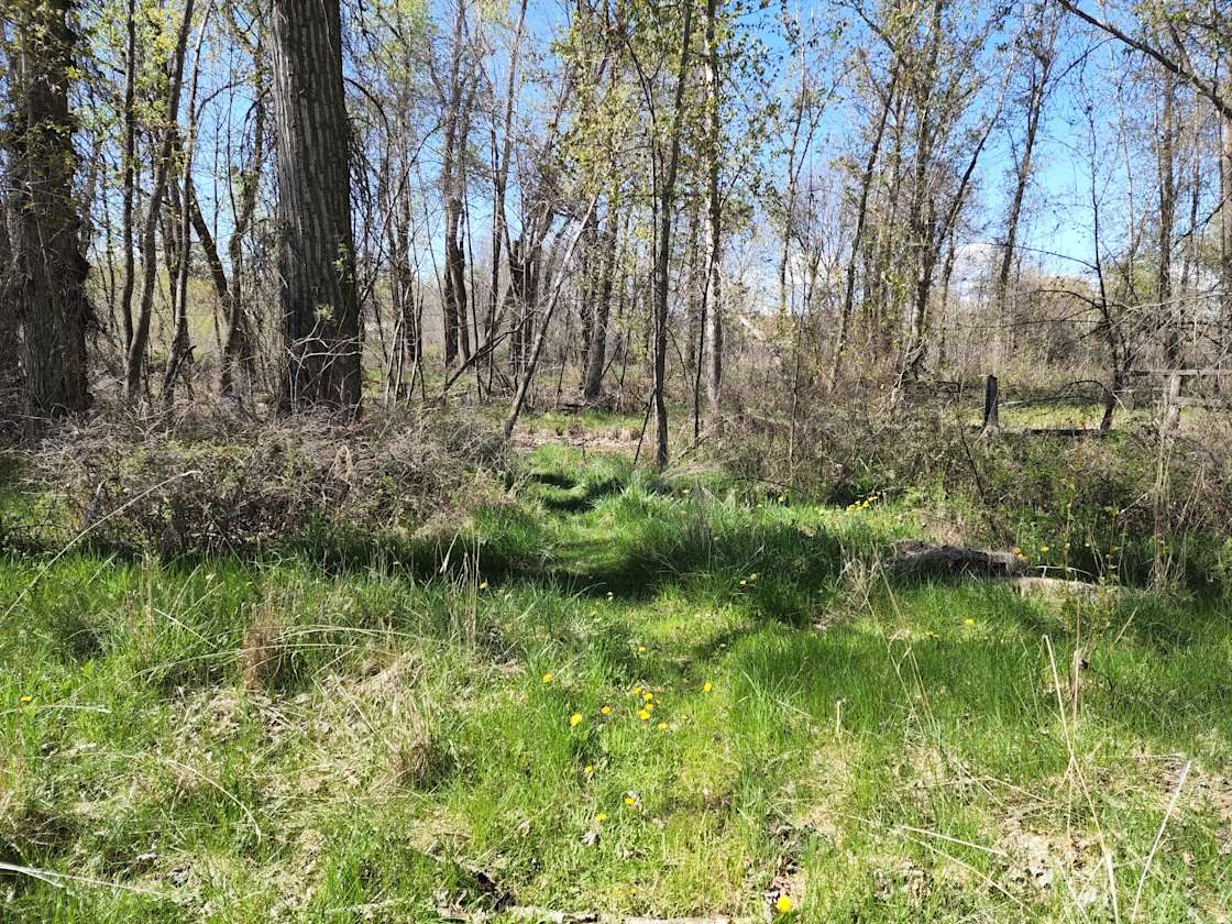 Mission Creek Camp Hipcamp in St Ignatius, Montana