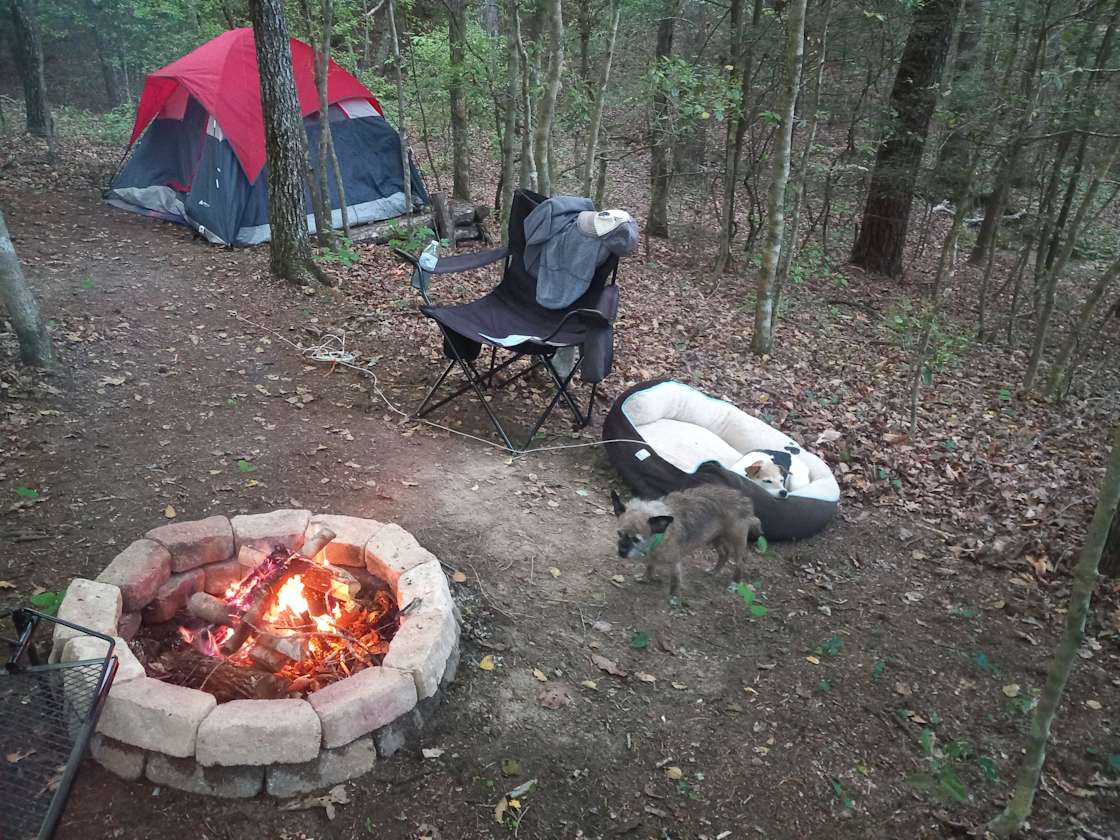 Greeter Falls Campground Hipcamp in Altamont, Tennessee