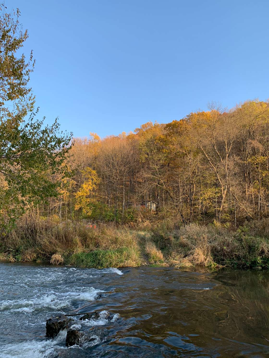 Belle Creek Bluff Hipcamp in Welch, Minnesota