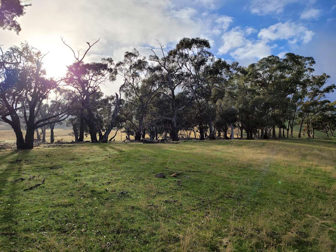 Daylesford Hepburn Farm Camping Hipcamp in Campbelltown, Victoria