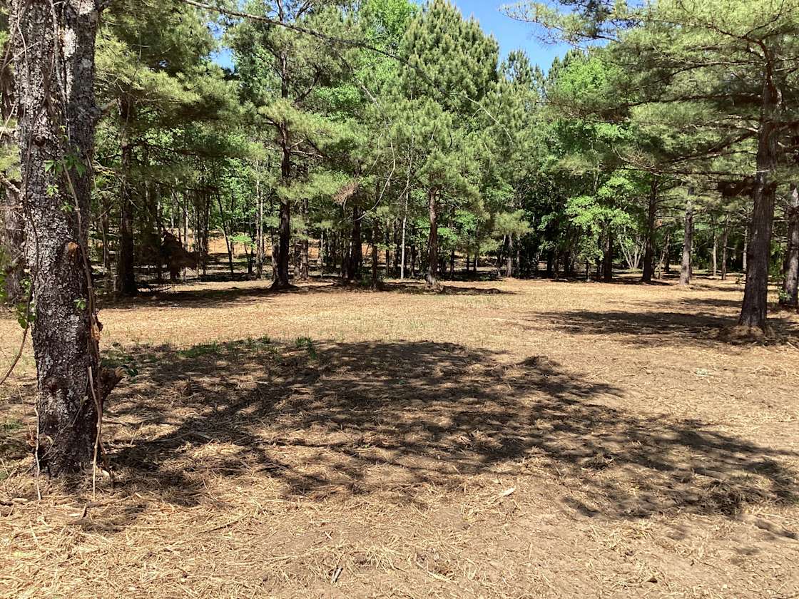 Martin Family Farms Hipcamp in Salley, South Carolina