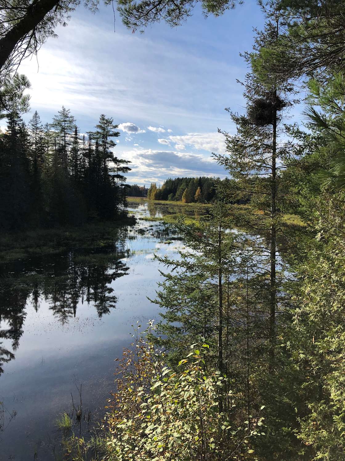 7 Points Eco Retreat Hipcamp in Mississippi Mills, Ontario