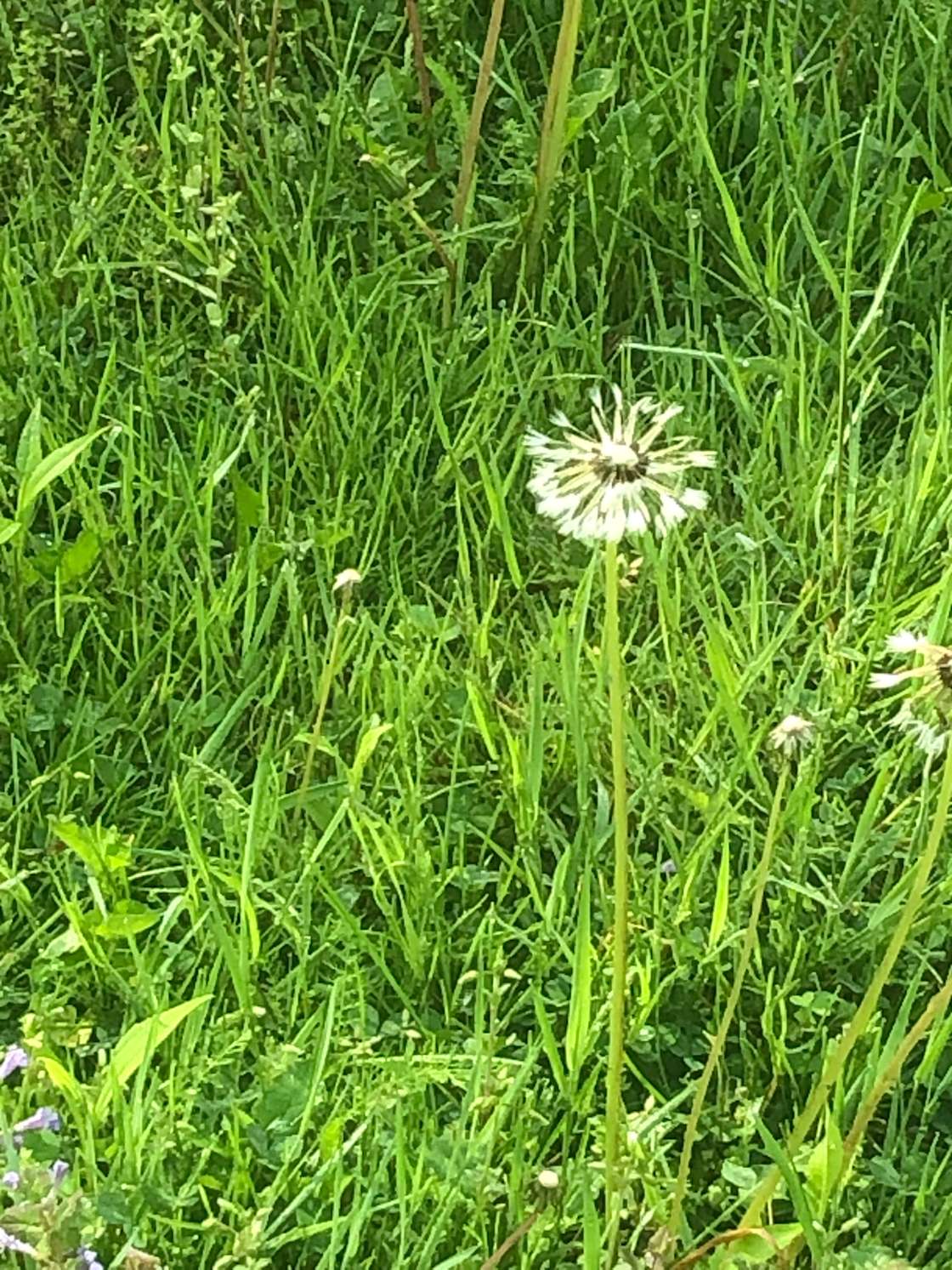 Rocky Road Retreats Hipcamp in Bowerston, Ohio