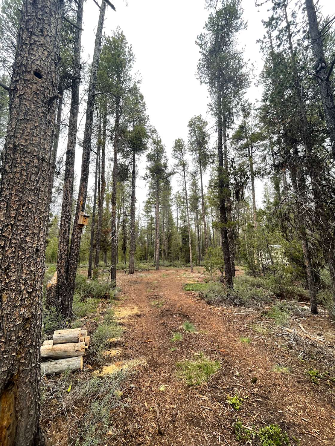 Mt. Scott Camping Hipcamp in Chiloquin, Oregon