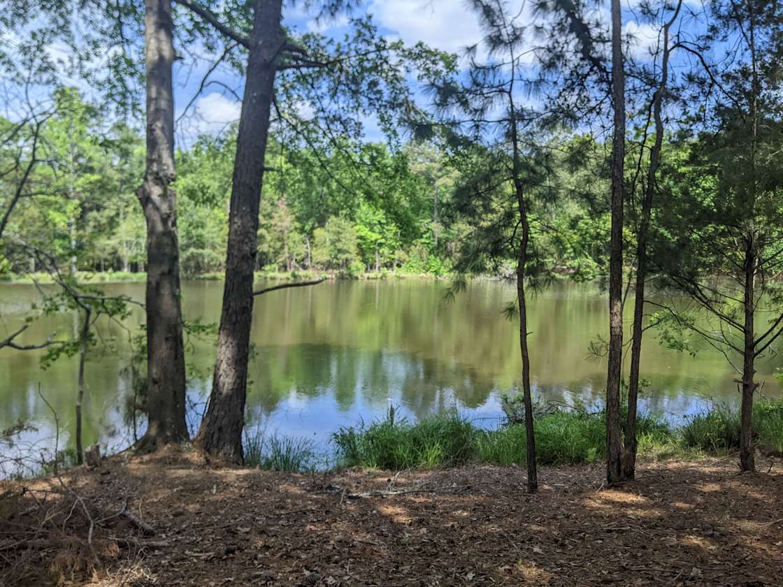 Camp in Camp Hill! Hipcamp in Camp Hill, Alabama