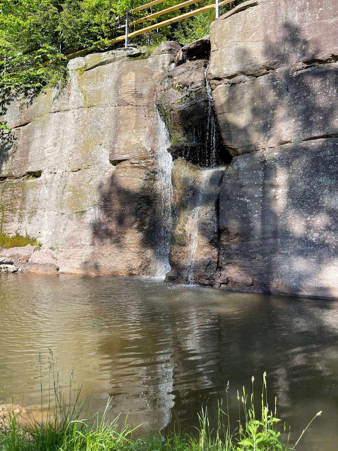 Azia’s First Hipcamp in Woodridge, New York