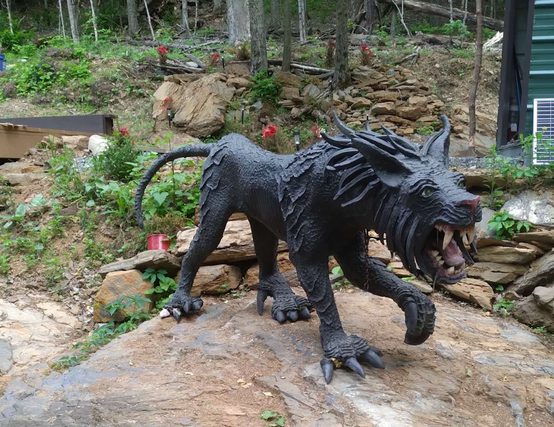 FOREST on Summit Lake Hipcamp in Argyle, New York