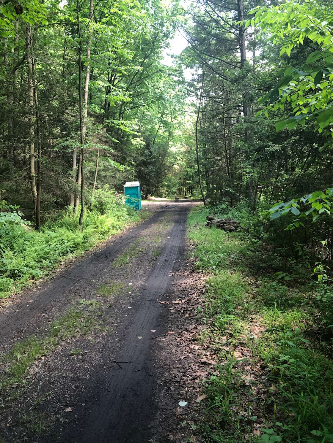 Little Mahanoy Creek Campground Hipcamp in Herndon, Pennsylvania
